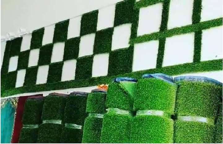 Carpet grass